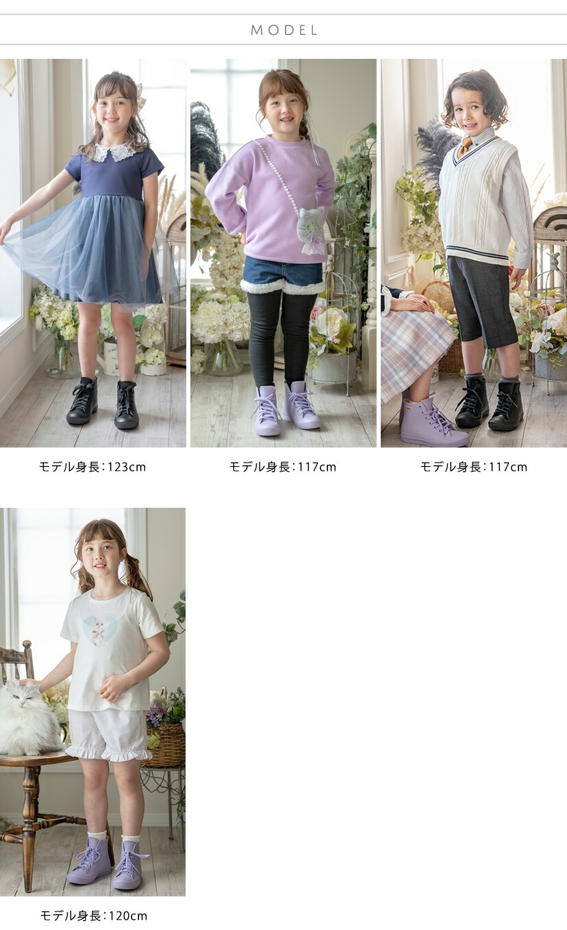 モデルスペック画像