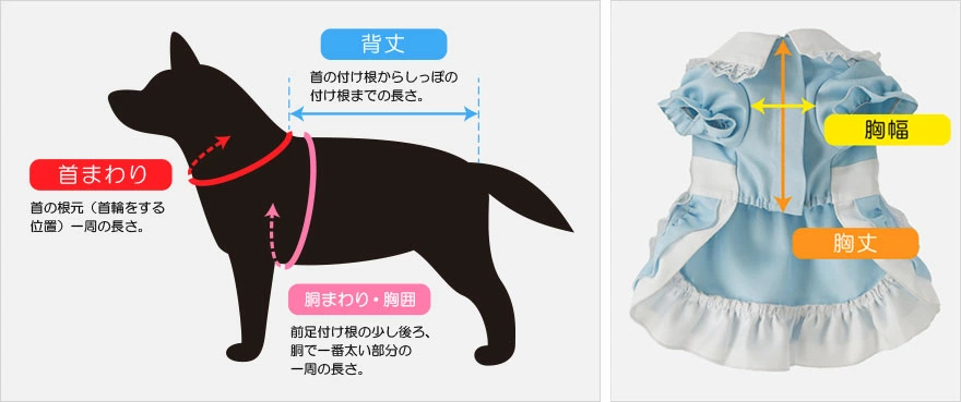 ペットサイズ測り方