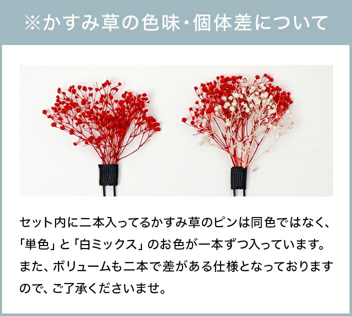 かすみ草の色味・個体差について