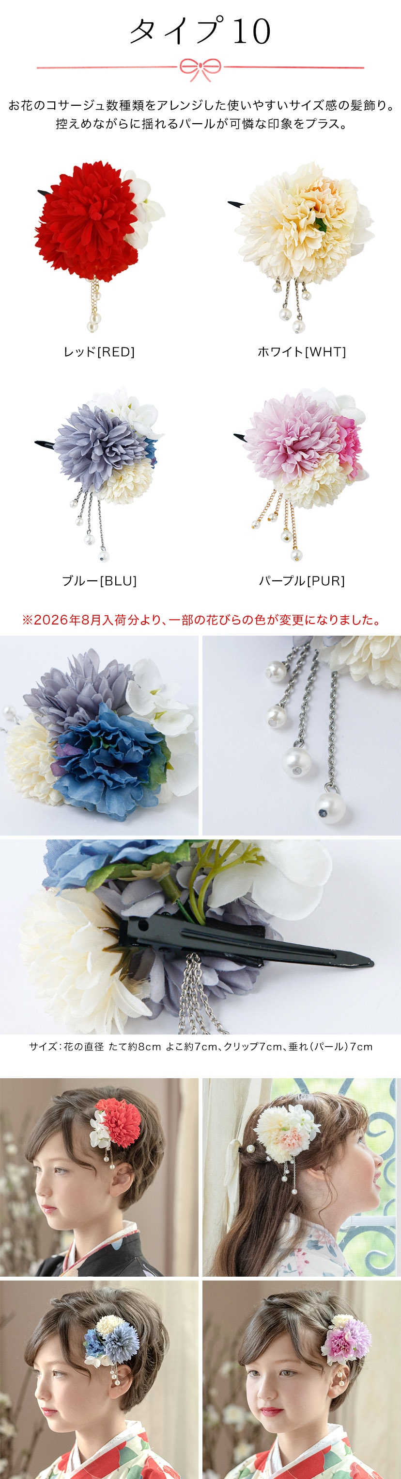 タイプ10の詳細