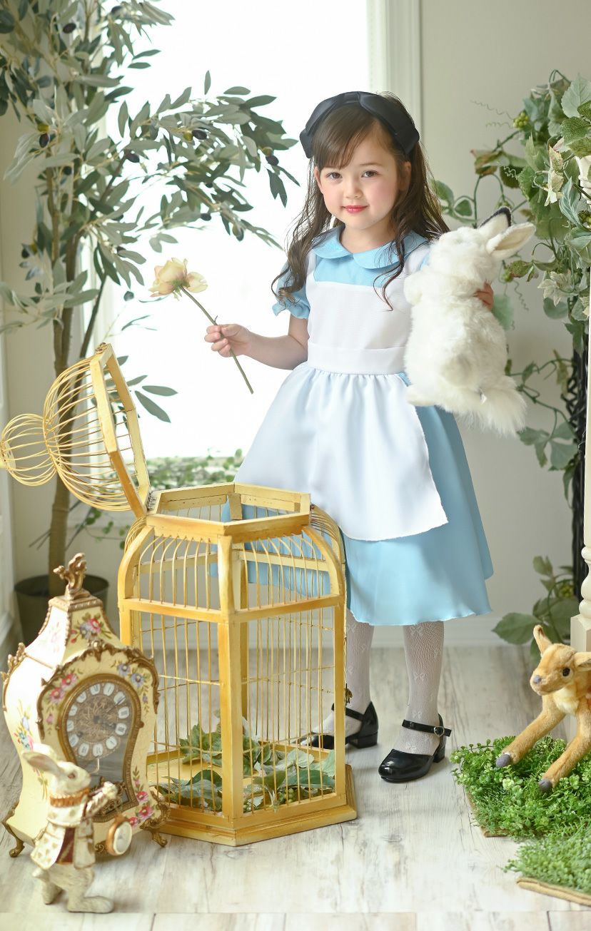 送料無料【超目玉セール】アリスのエプロンドレスコスチューム テーマ