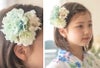 和風髪飾り蝶とお花のヘアクリップアクセサリーヘアアクセサリー和装アクセサリー