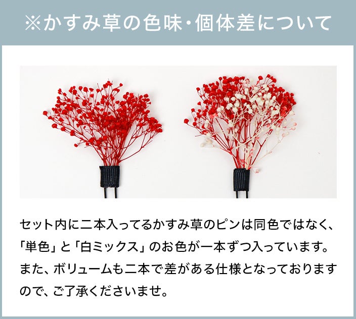 かすみ草の色味・個体差について