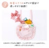 【メール便送料無料】撥水加工ファスナー付きフリルリボン移動ポケットかわいいギンガムチェック入園入学通園通学キャサリンコテージYUP6《メール便優先商品》キッズ
